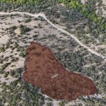 Tamış Köyü'nde Satılık Zeytinlik (2)