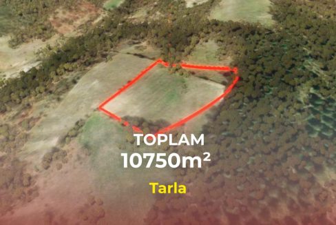 Susurluk'ta Satılık 10.750 m² Yatırıma Uygun Tarla