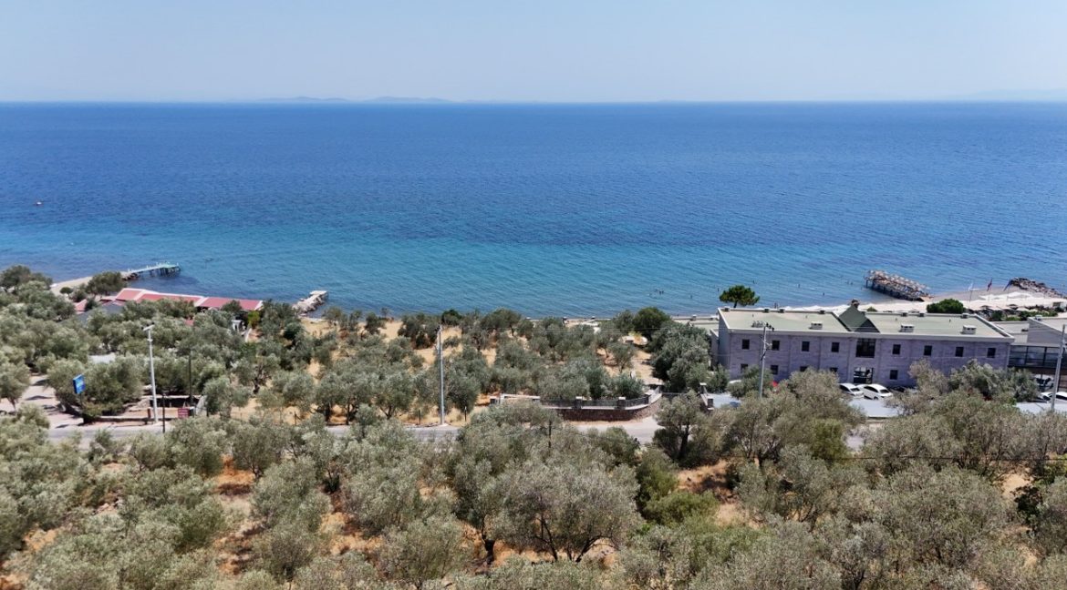 Kozlu Sahil Yoluna Cepheli 1543 m² Satılık Arazi (15)