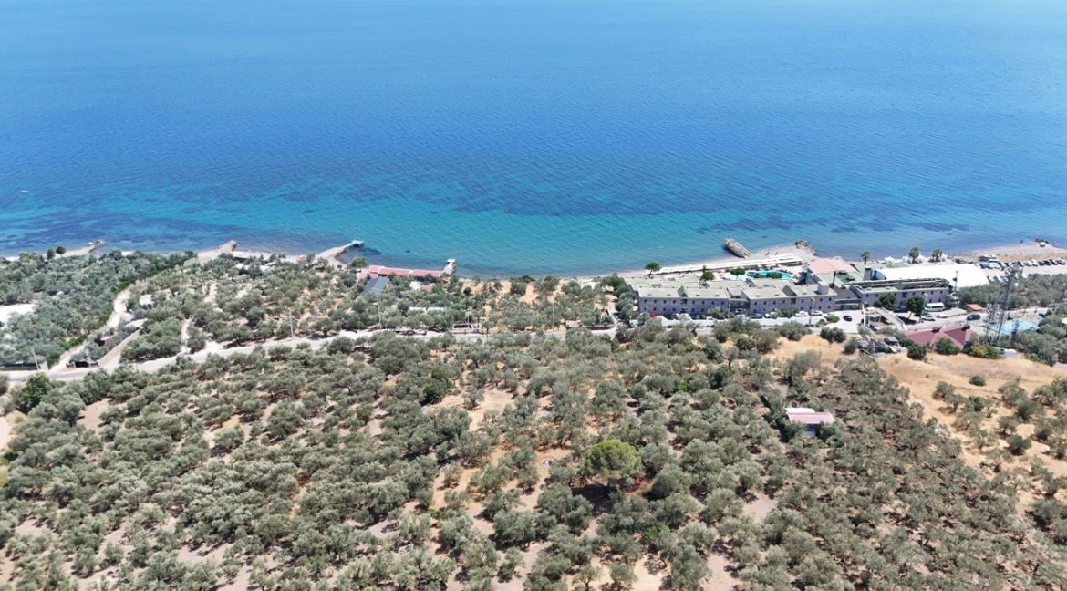 Kozlu Sahil Yoluna Cepheli 1543 m² Satılık Arazi (4)