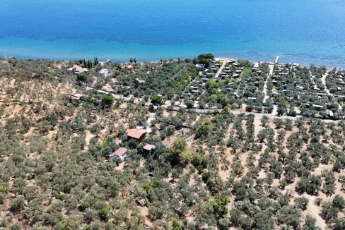 Arikli Köy Sahili’nde 390 m² Satılık Zeytinlik