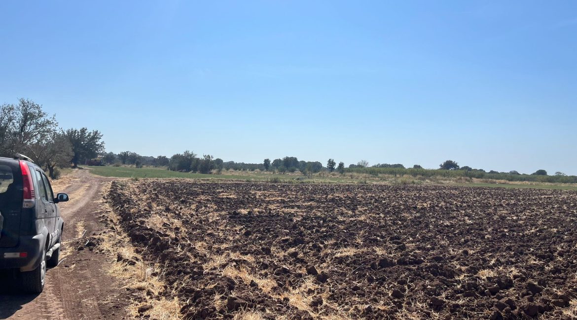 Kösedere Köyü'nde Satılık 2387 m² Tarla (1)