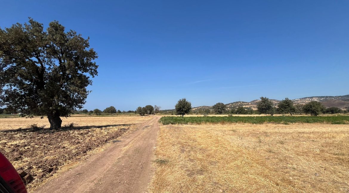 Kösedere Köyü'nde Satılık 2387 m² Tarla (10)