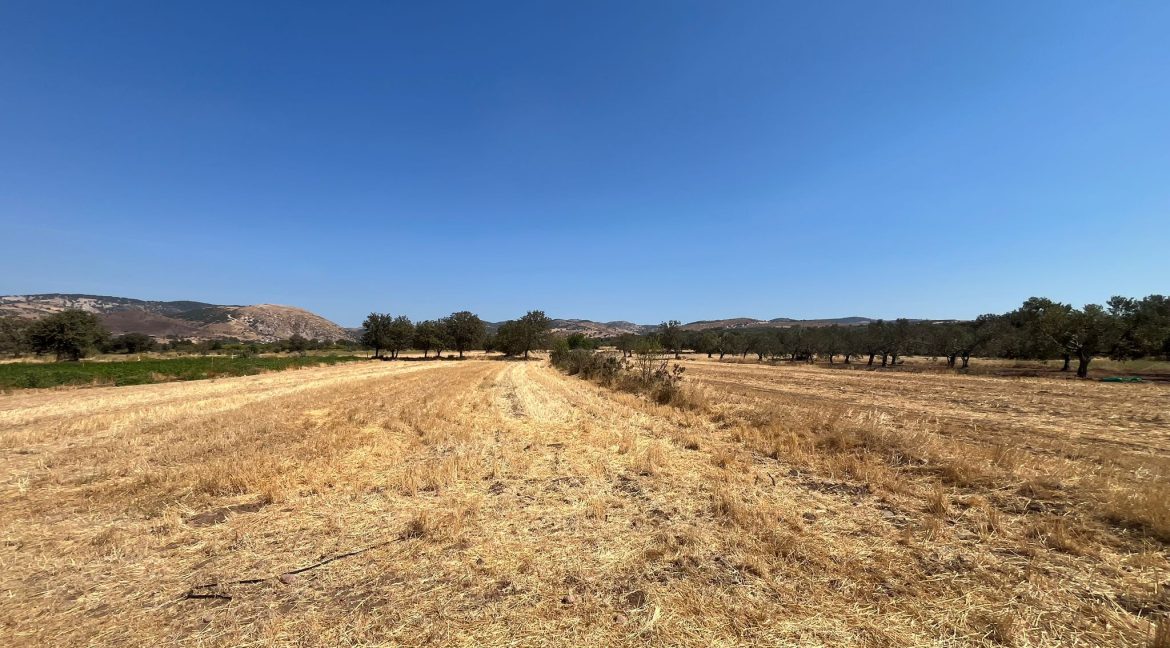 Kösedere Köyü'nde Satılık 2387 m² Tarla (11)