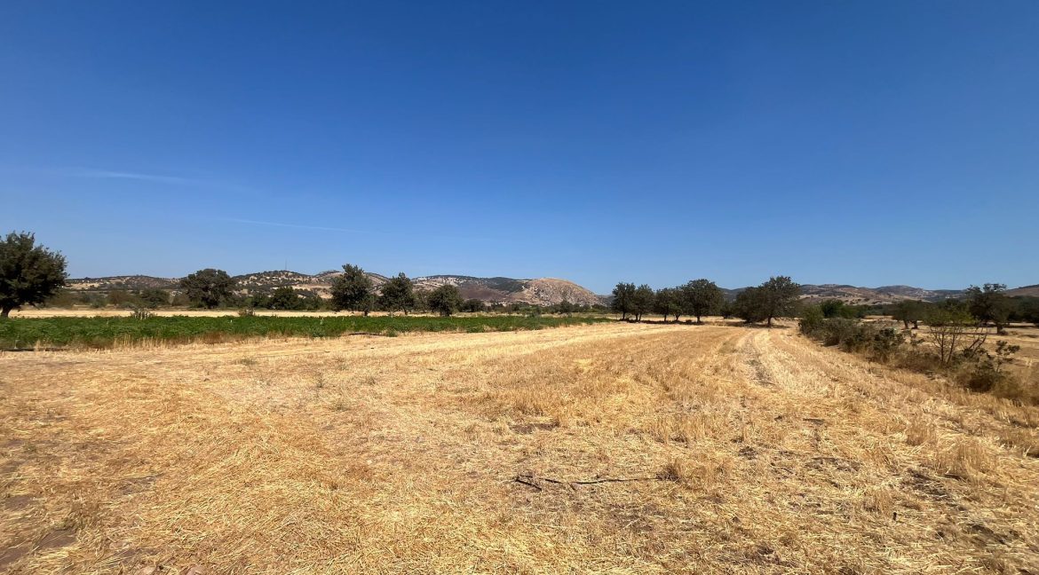 Kösedere Köyü'nde Satılık 2387 m² Tarla (12)
