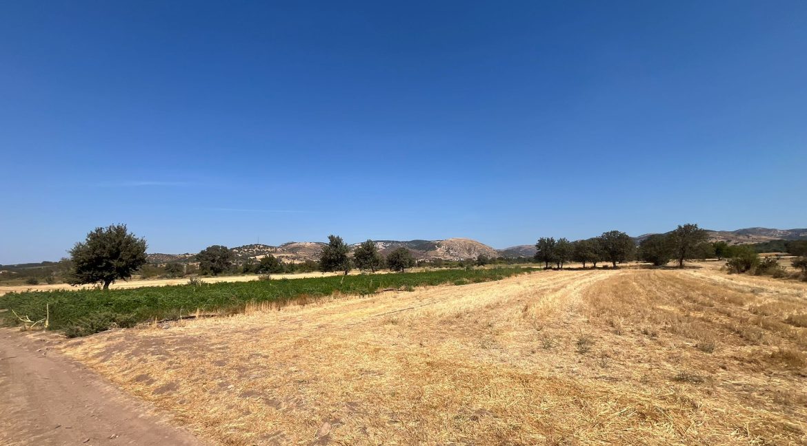 Kösedere Köyü'nde Satılık 2387 m² Tarla (13)