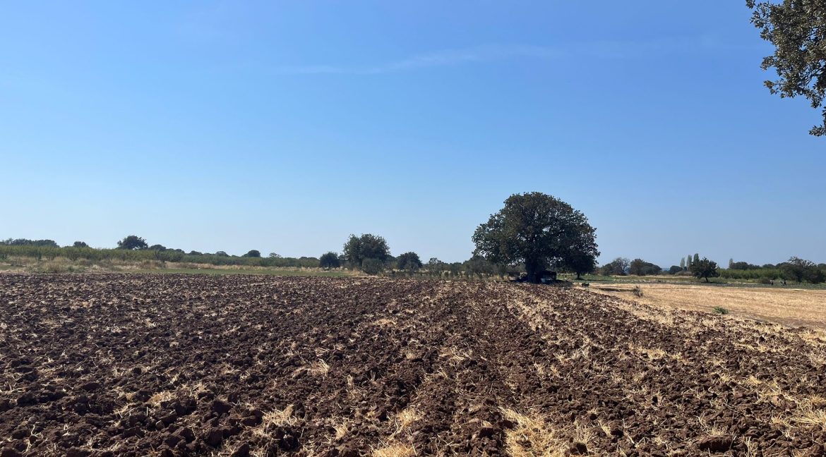 Kösedere Köyü'nde Satılık 2387 m² Tarla (3)