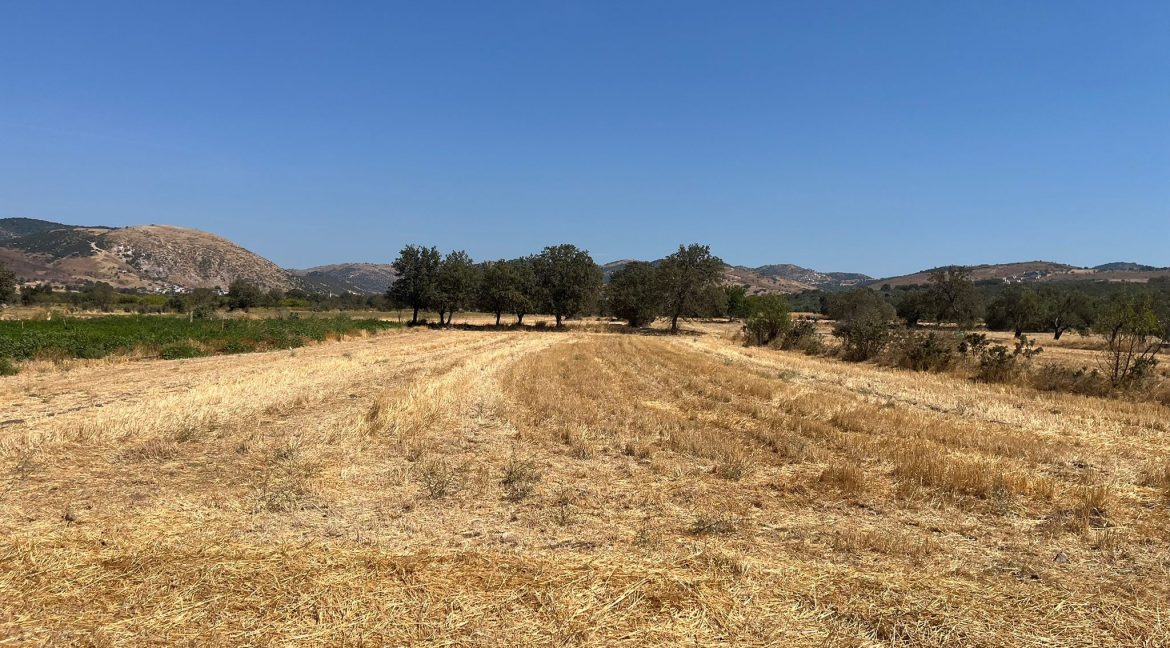 Kösedere Köyü'nde Satılık 2387 m² Tarla (4)