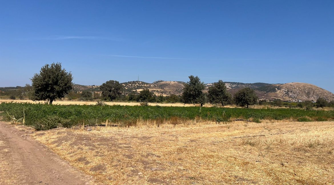 Kösedere Köyü'nde Satılık 2387 m² Tarla (5)