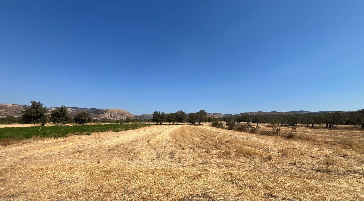 Kösedere Köyü'nde Satılık 2387 m² Tarla (7)