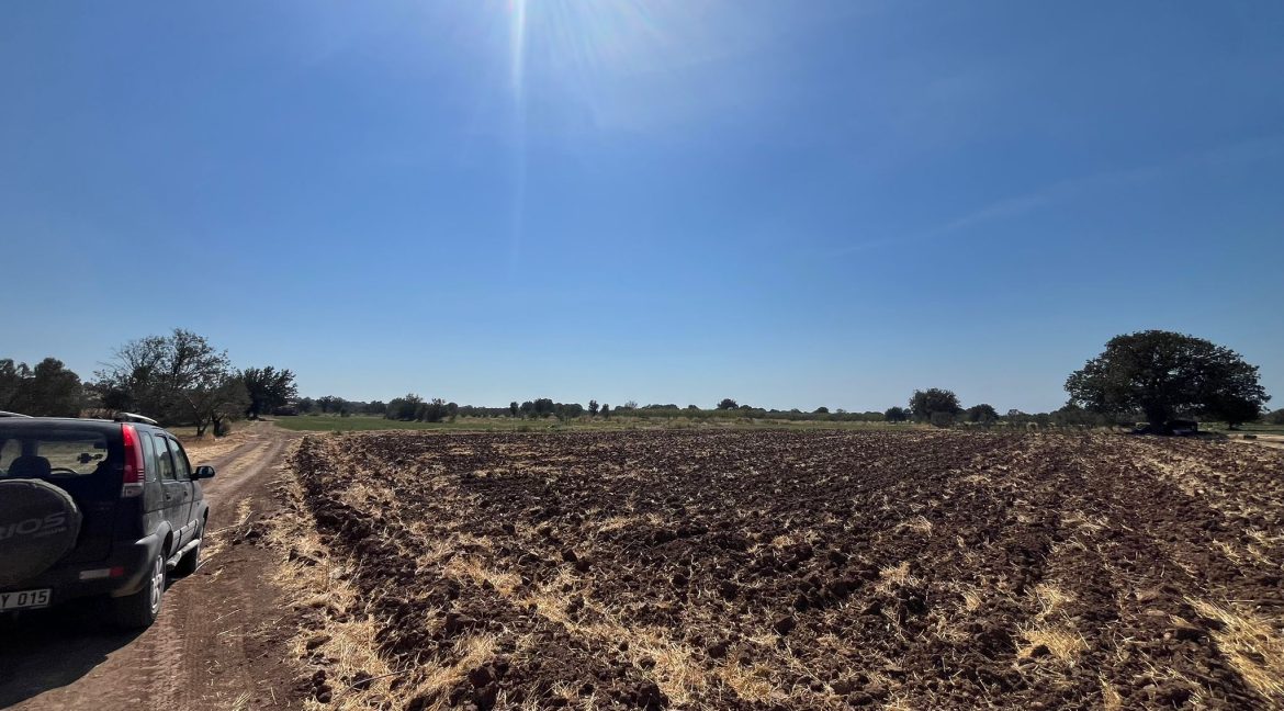 Kösedere Köyü'nde Satılık 2387 m² Tarla (8)