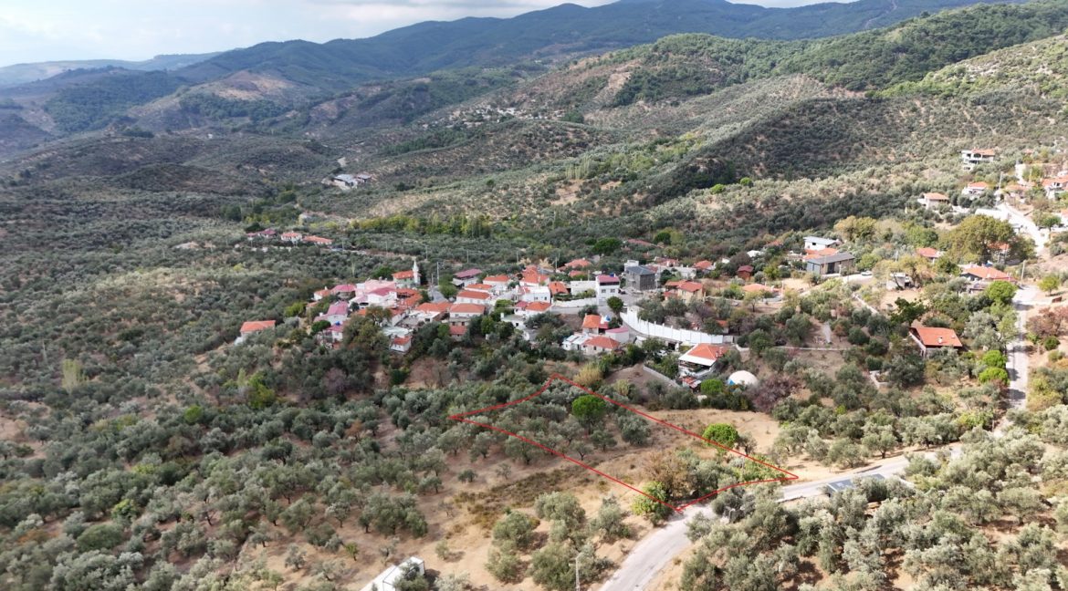 Bahçedere Köyü'nde Satılık Asfalt Yol Cepheli Köy Dibi Zeytinlik