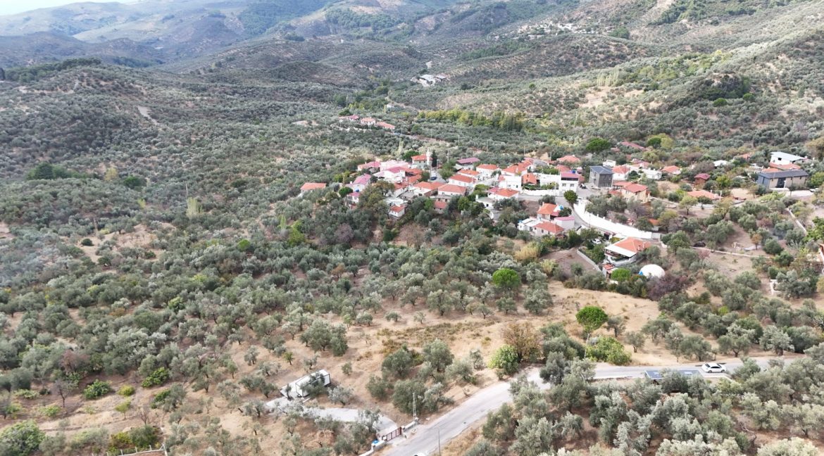 Bahçedere Köyü'nde Satılık Asfalt Yol Cepheli Köy Dibi Zeytinlik