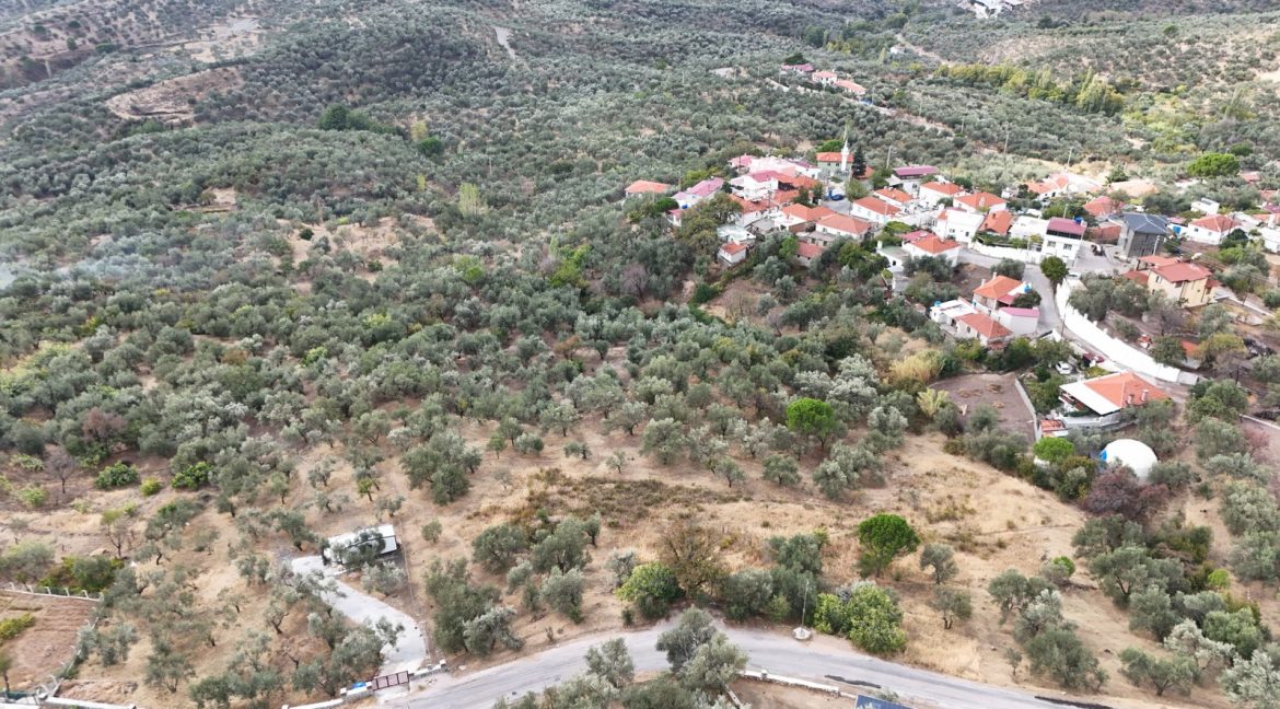 Bahçedere Köyü'nde Satılık Asfalt Yol Cepheli Köy Dibi Zeytinlik