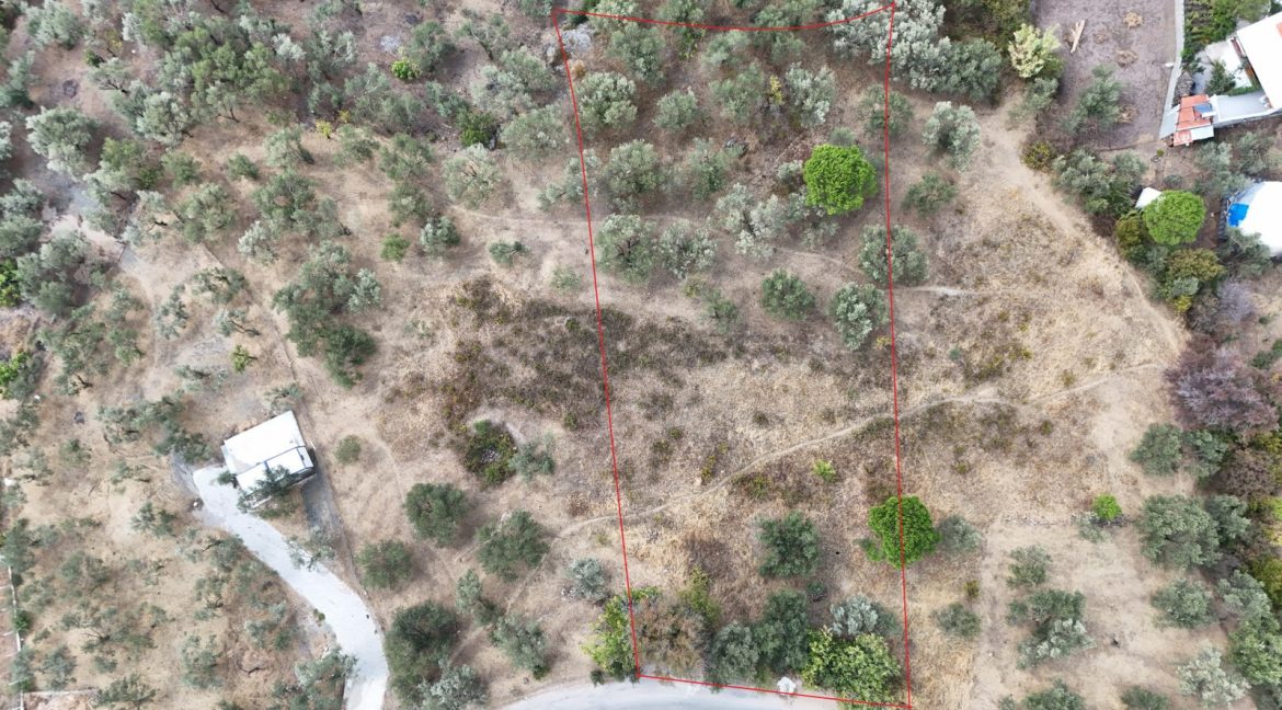 Bahçedere Köyü'nde Satılık Asfalt Yol Cepheli Köy Dibi Zeytinlik