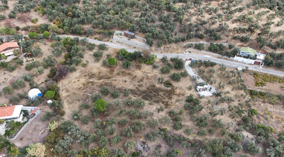 Bahçedere Köyü'nde Satılık Asfalt Yol Cepheli Köy Dibi Zeytinlik