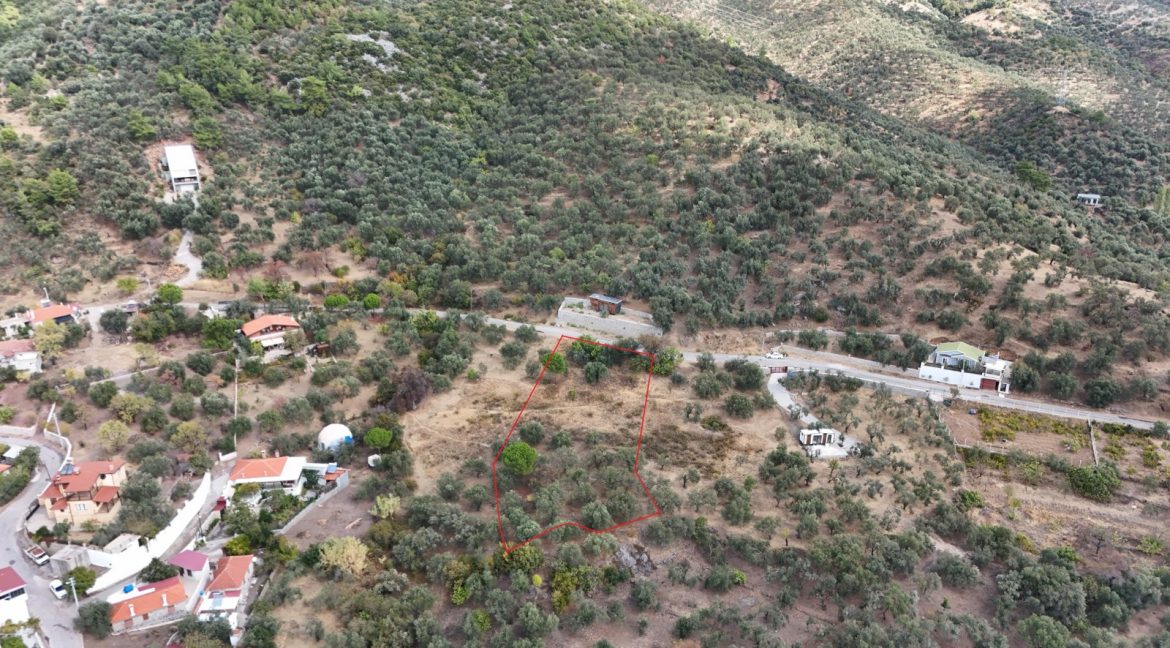 Bahçedere Köyü'nde Satılık Asfalt Yol Cepheli Köy Dibi Zeytinlik