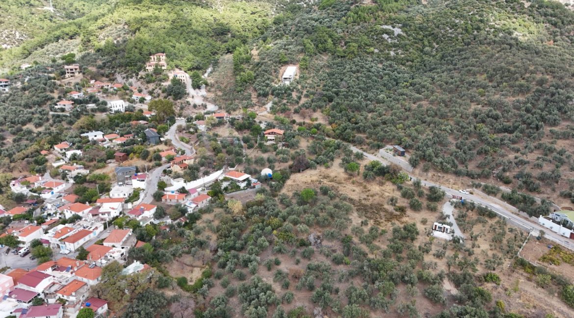 Bahçedere Köyü'nde Satılık Asfalt Yol Cepheli Köy Dibi Zeytinlik