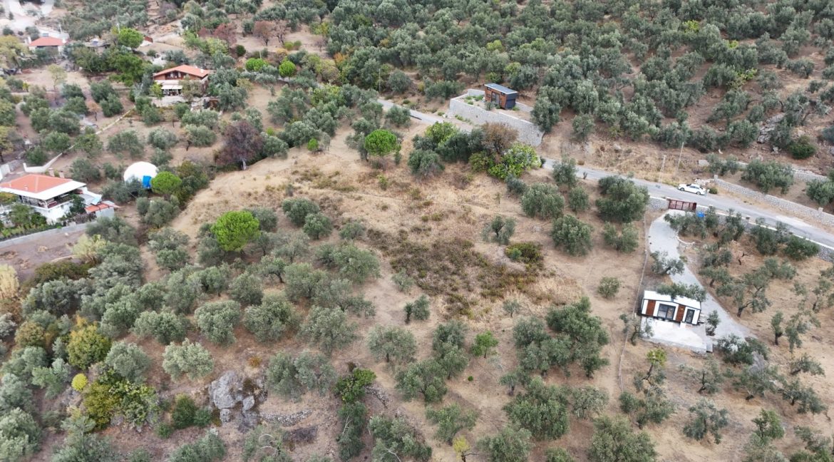 Bahçedere Köyü'nde Satılık Asfalt Yol Cepheli Köy Dibi Zeytinlik