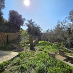 Küçükkuyu'ya Yakın Satılık Nehir Kenarı Hobi Bahçesi