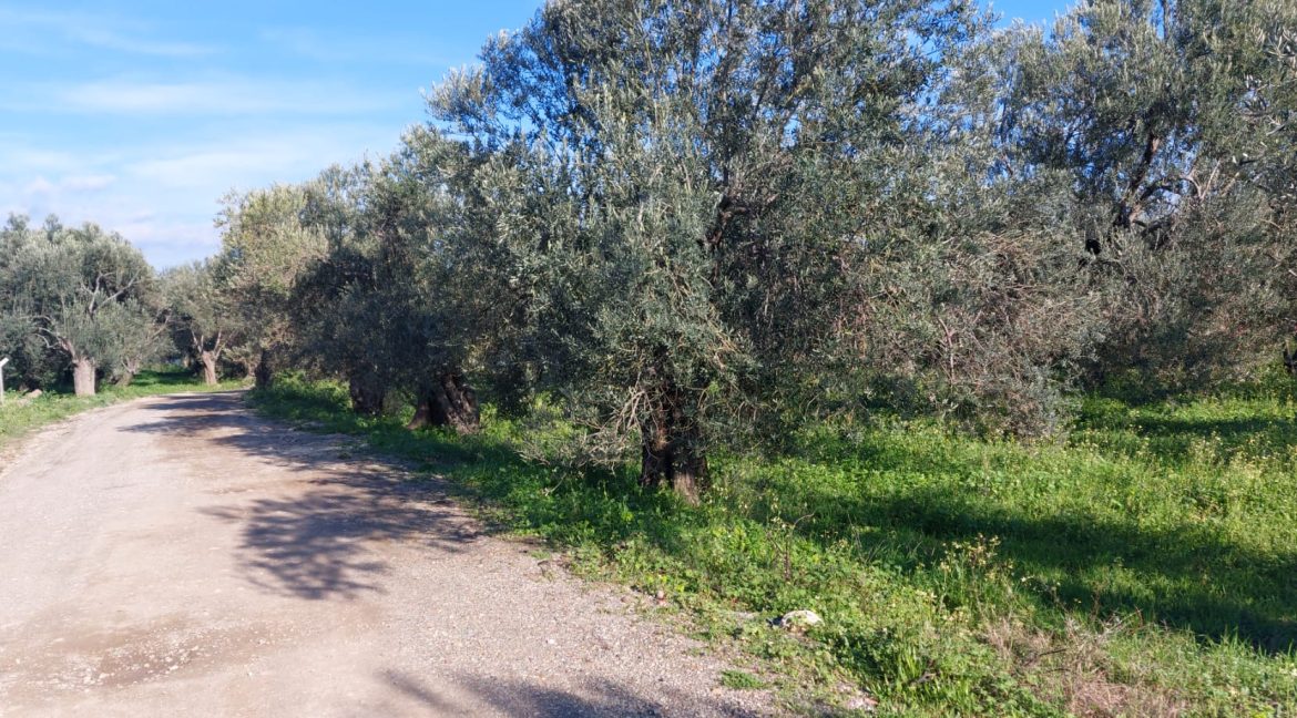 KÜÇÜKKUYU MIHLI MAHALLESİ SATILIK İMARLI ARSA