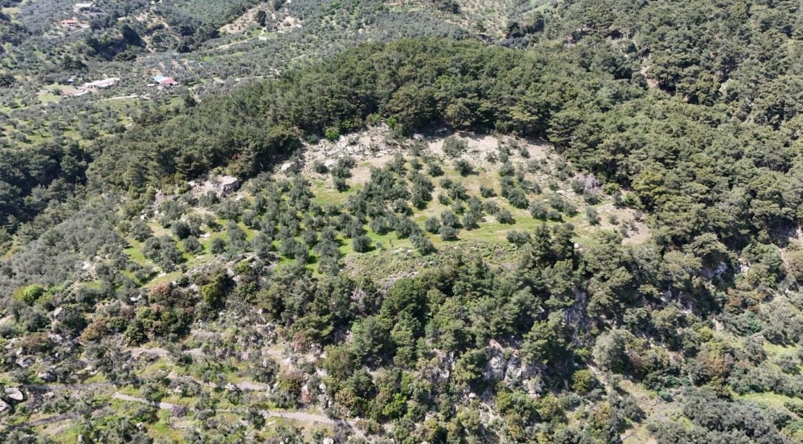 Yeşilyurt Köyü'nde Satılık Deniz Manzaralı Zeytinlik