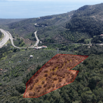 Yeşilyurt Köyü'nde Satılık Deniz Manzaralı Zeytinlik