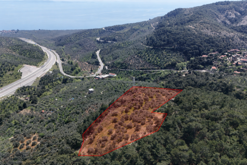 Yeşilyurt Köyü'nde Satılık Deniz Manzaralı Zeytinlik