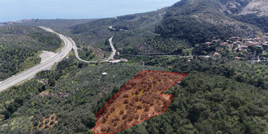 Yeşilyurt Köyü'nde Satılık Deniz Manzaralı Zeytinlik