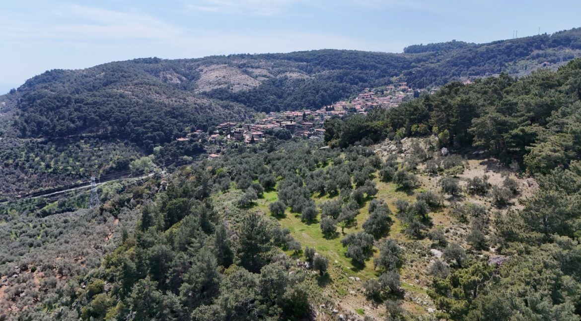 Yeşilyurt Köyü'nde Satılık Deniz Manzaralı Zeytinlik