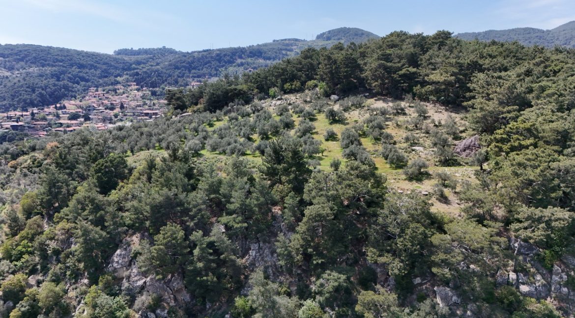 Yeşilyurt Köyü'nde Satılık Deniz Manzaralı Zeytinlik