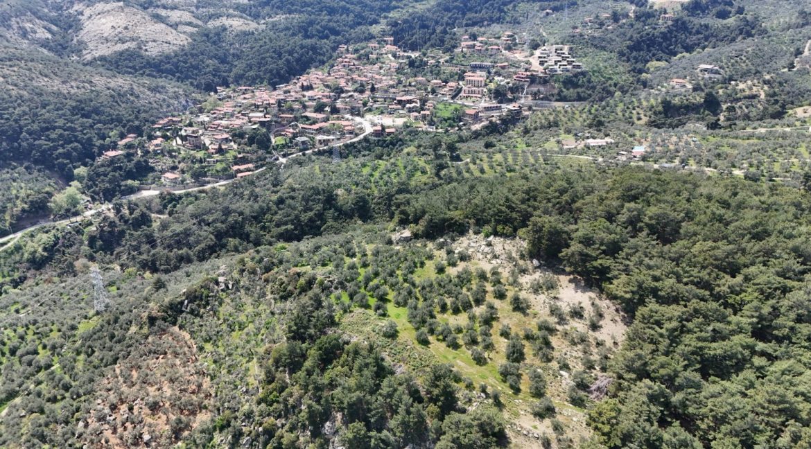 Yeşilyurt Köyü'nde Satılık Deniz Manzaralı Zeytinlik