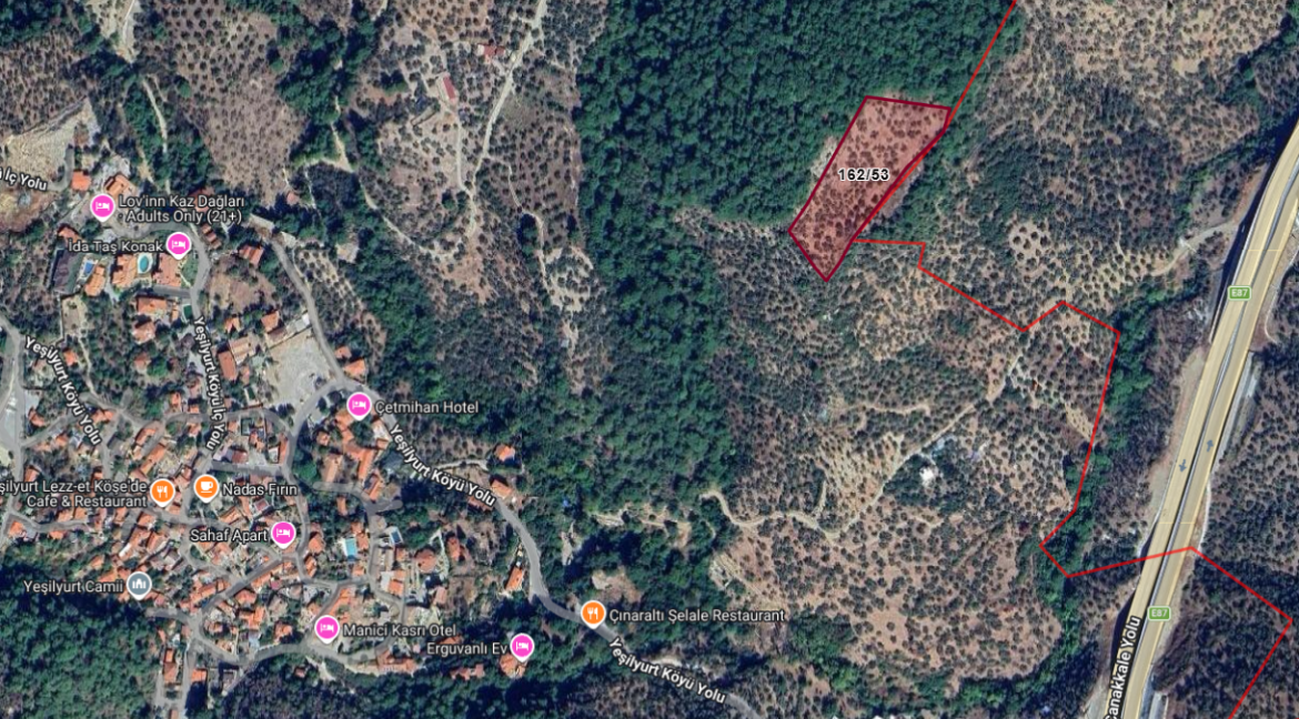 Yeşilyurt Köyü'nde Satılık Deniz Manzaralı Zeytinlik