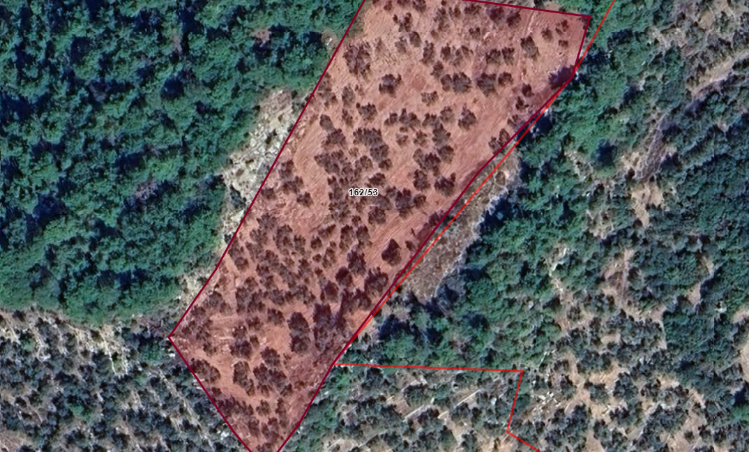 Yeşilyurt Köyü'nde Satılık Deniz Manzaralı Zeytinlik (3)