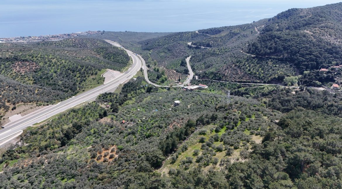 Yeşilyurt Köyü'nde Satılık Deniz Manzaralı Zeytinlik