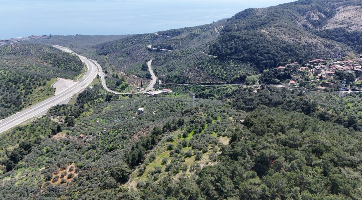 Yeşilyurt Köyü'nde Satılık Deniz Manzaralı Zeytinlik