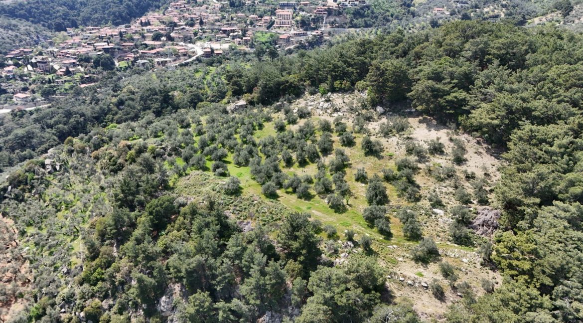 Yeşilyurt Köyü'nde Satılık Deniz Manzaralı Zeytinlik