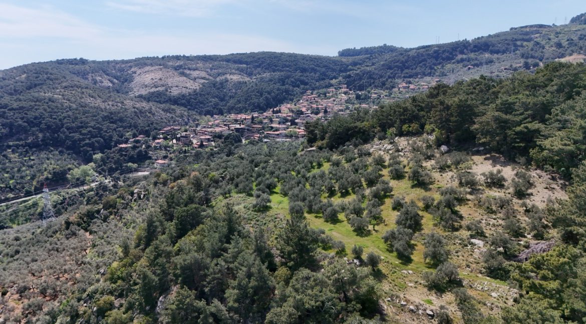 Yeşilyurt Köyü'nde Satılık Deniz Manzaralı Zeytinlik