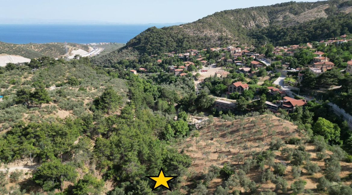 Yeşilyurt Köy Merkezine Yakın Satılık Zeytinlik (11)