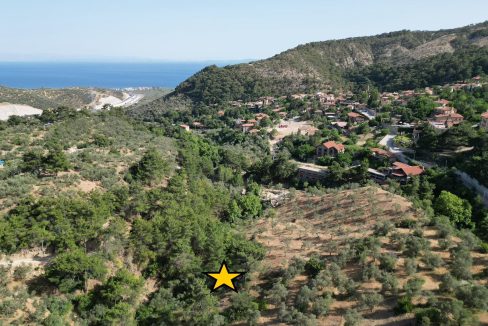 Yeşilyurt Köy Merkezine Yakın Satılık Zeytinlik