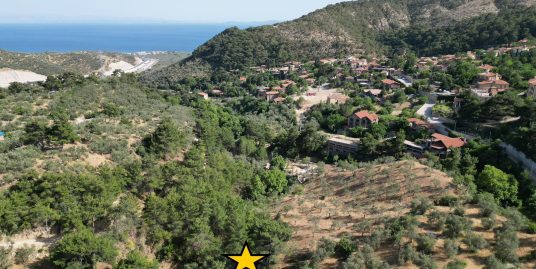 Yeşilyurt Köy Merkezine Yakın Satılık Zeytinlik