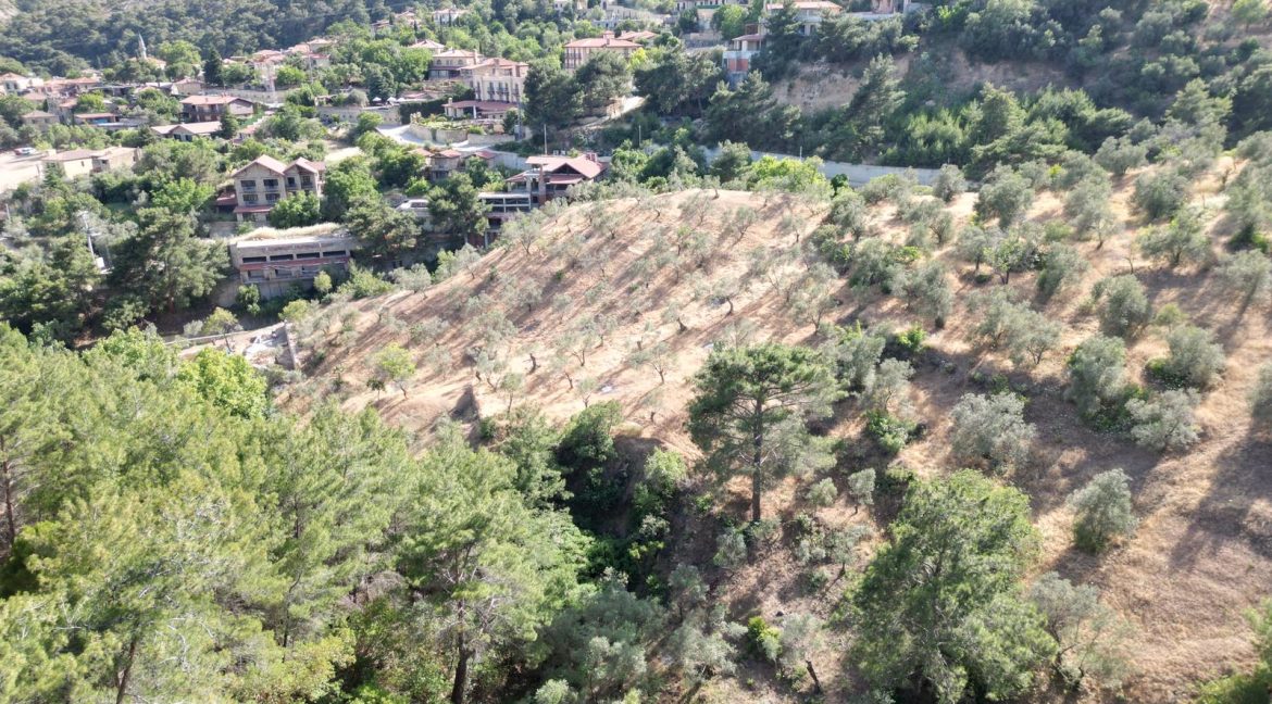 Yeşilyurt Köy Merkezine Yakın Satılık Zeytinlik (2)