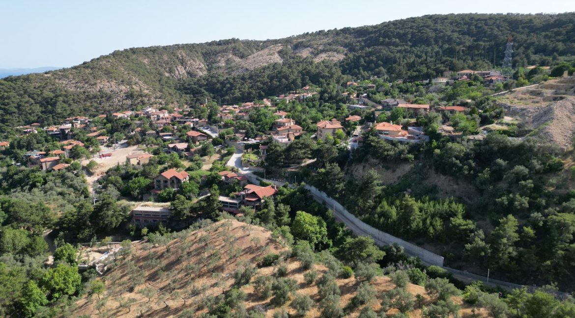 Yeşilyurt Köy Merkezine Yakın Satılık Zeytinlik (9)
